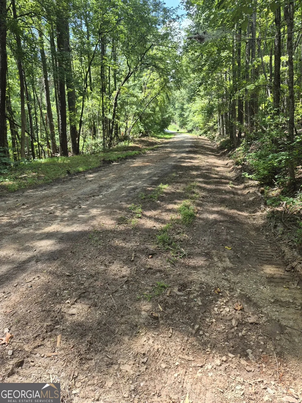 0 Brazell RD Chattahoochee Hills, GA 30268