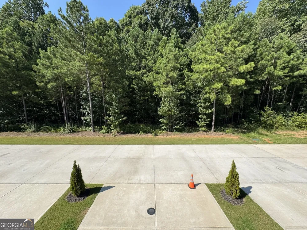 173 Brush Creek CT Stockbridge, GA 30281