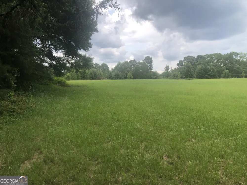 517 Trice Cemetery Road Thomaston, GA 30286