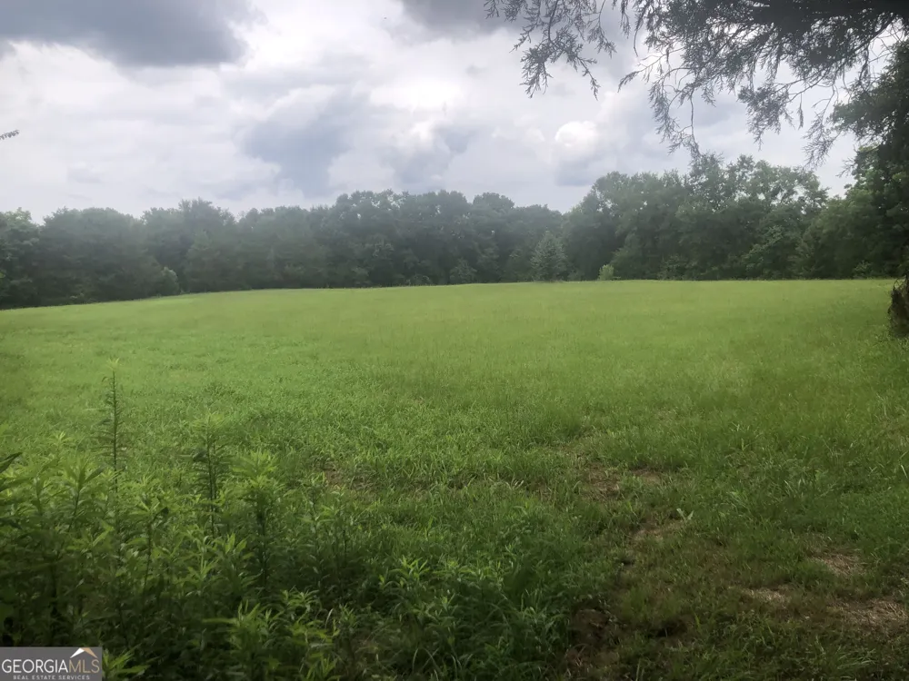 517 Trice Cemetery Road Thomaston, GA 30286