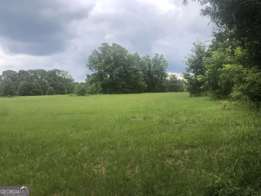 517 Trice Cemetery Road Thomaston, GA 30286