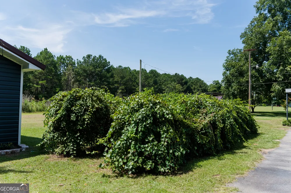 1364 Tommy Purvis Jr RD Reynolds, GA 31076