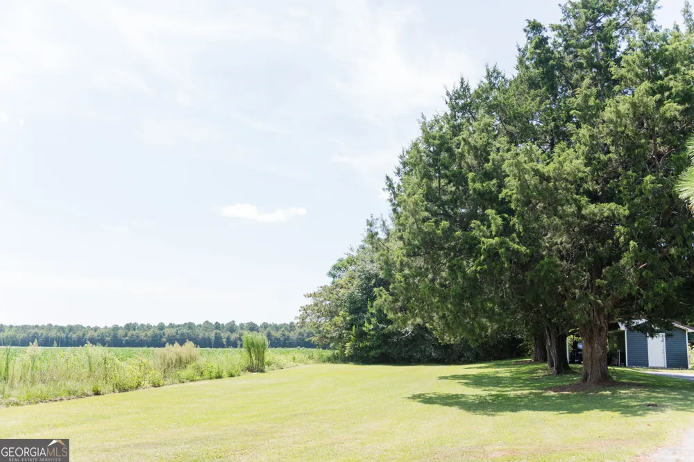 1364 Tommy Purvis Jr RD Reynolds, GA 31076
