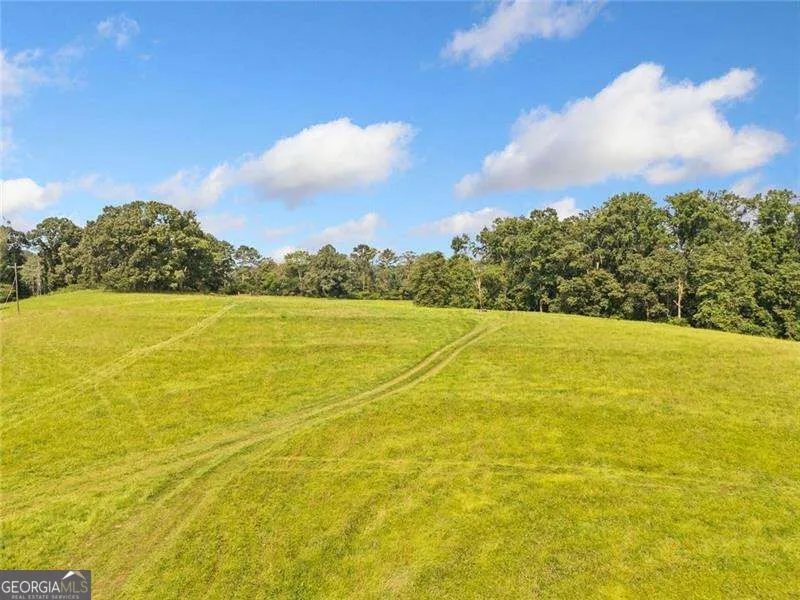 187 Long RD Ball Ground, GA 30107