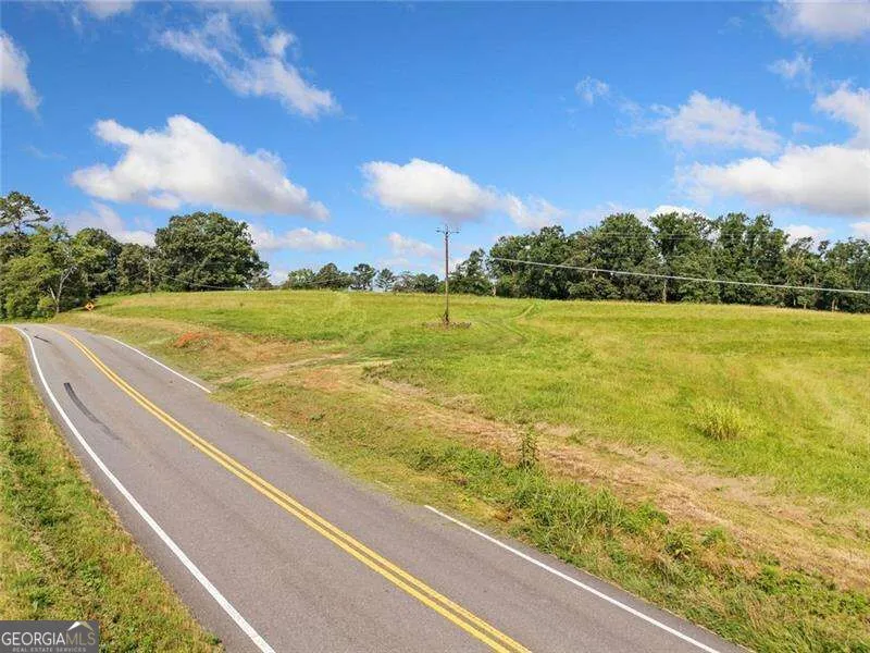 187 Long RD Ball Ground, GA 30107