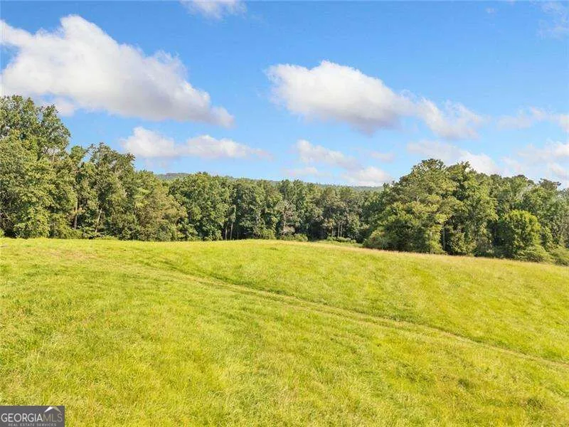 187 Long RD Ball Ground, GA 30107