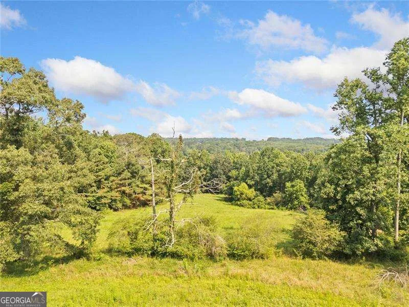187 Long RD Ball Ground, GA 30107