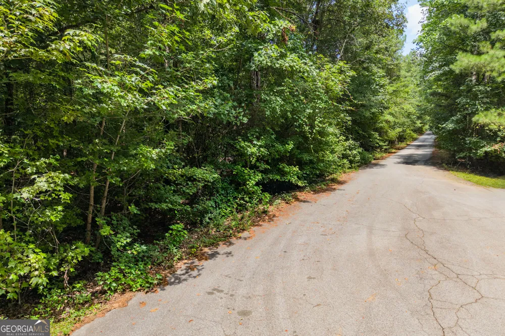 3735 Millstream LN Stockbridge, GA 30281