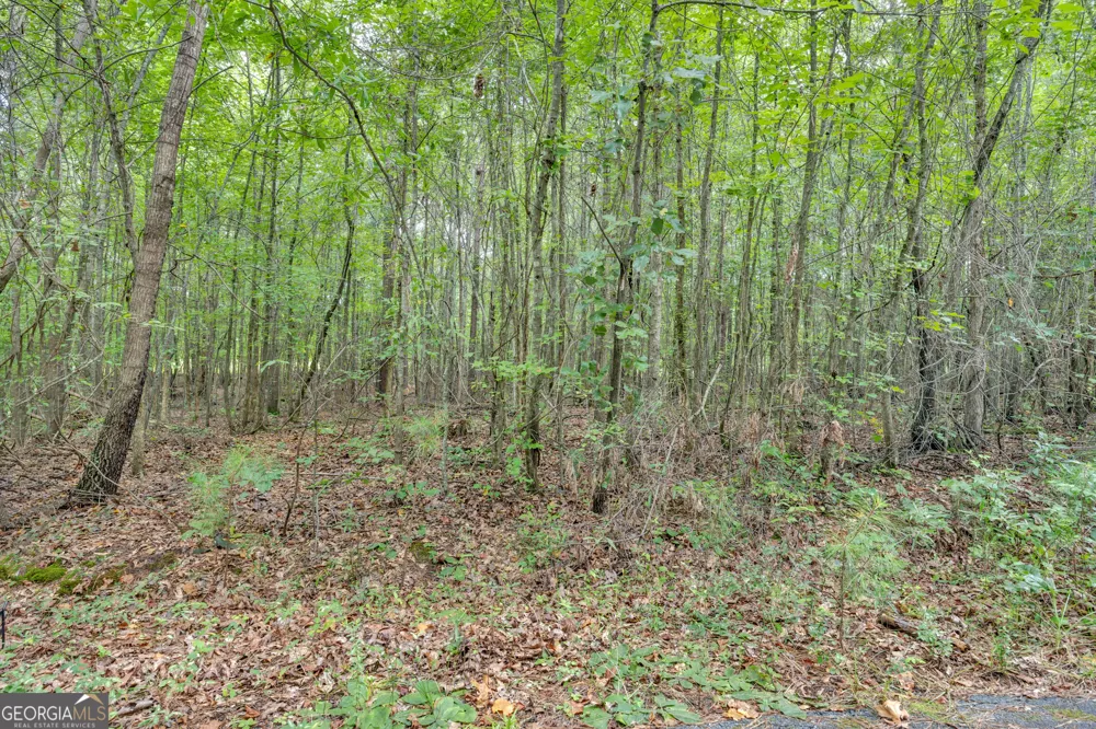 3735 Millstream LN Stockbridge, GA 30281