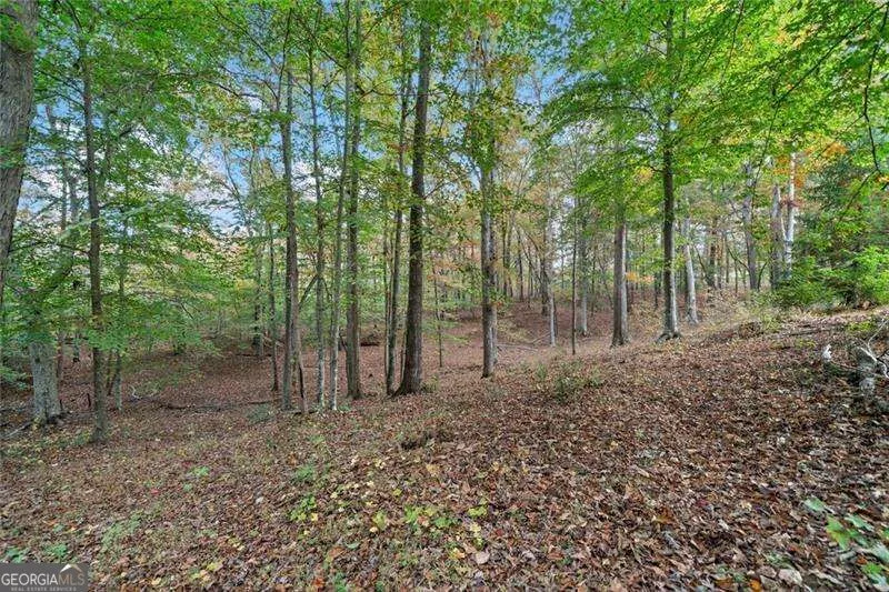 0 Ammons DR Waleska, GA 30183