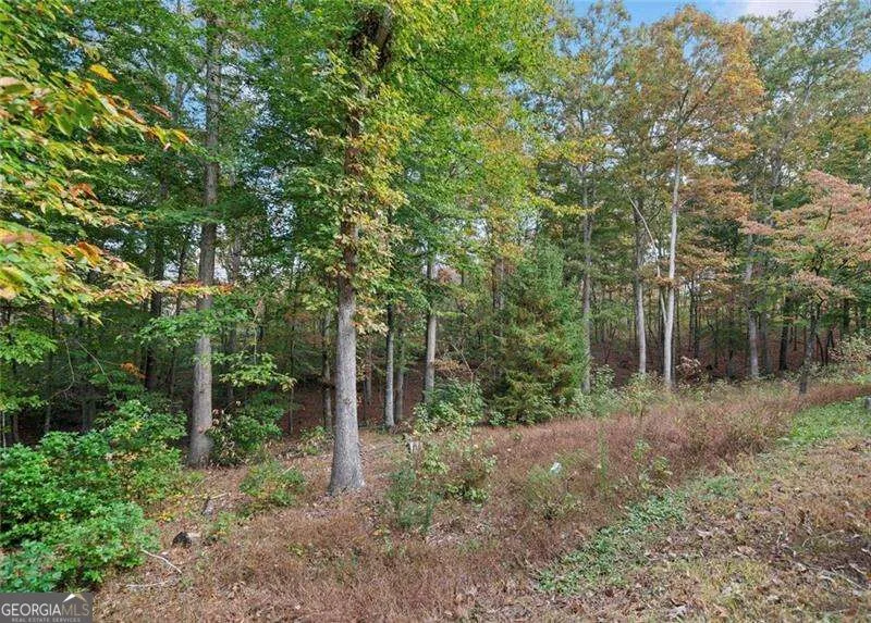 0 Ammons DR Waleska, GA 30183