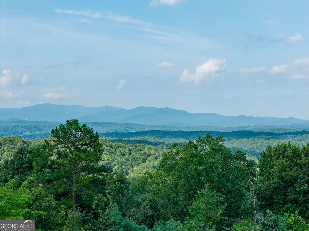24 Oak Ledge RD Morganton, GA 30560