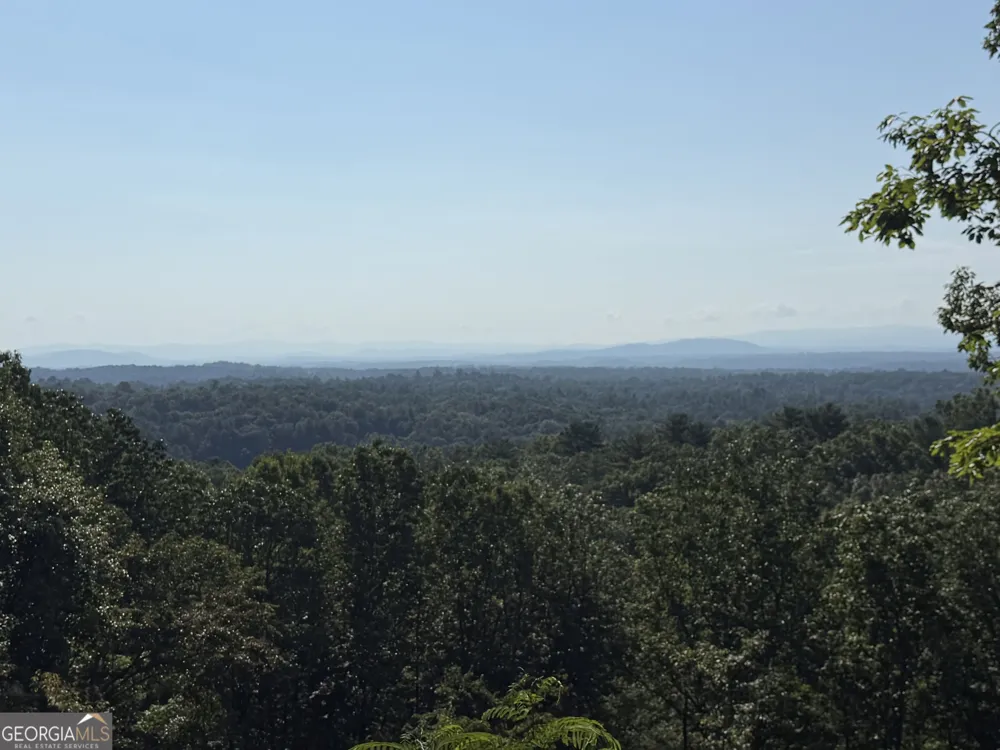 596 Morton DR Ellijay, GA 30540