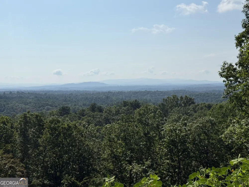 596 Morton DR Ellijay, GA 30540