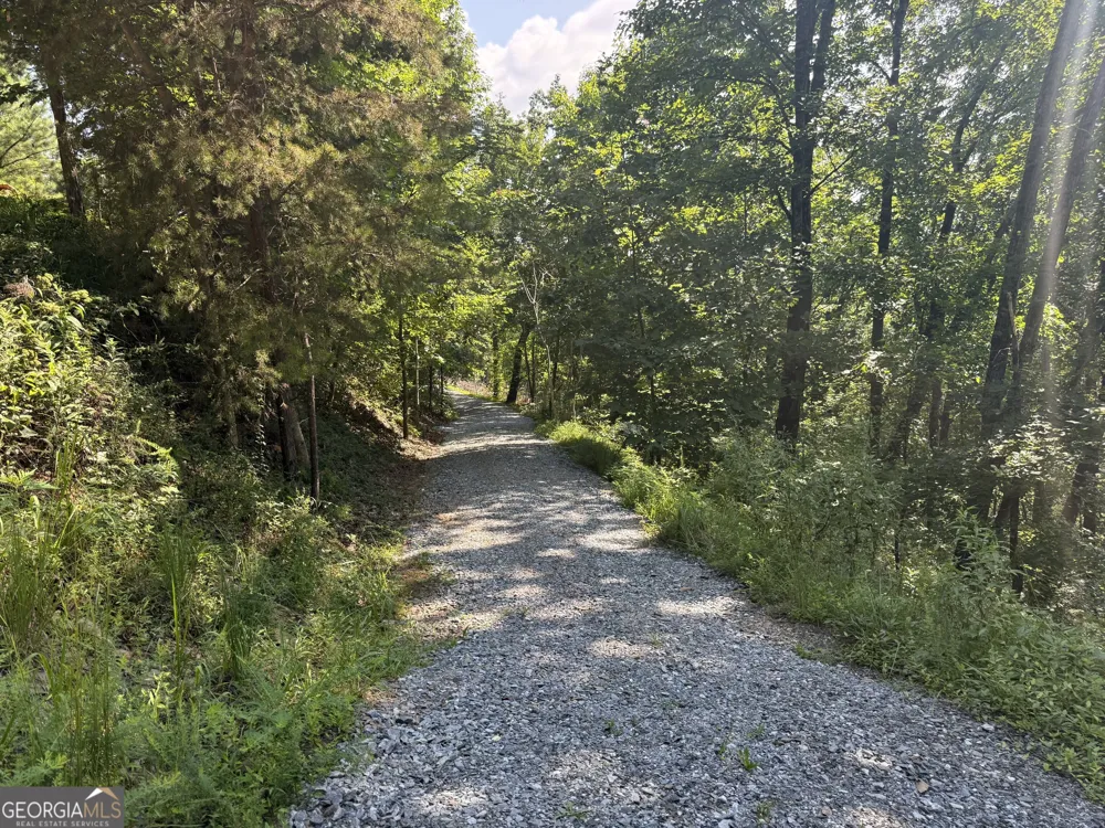 596 Morton DR Ellijay, GA 30540