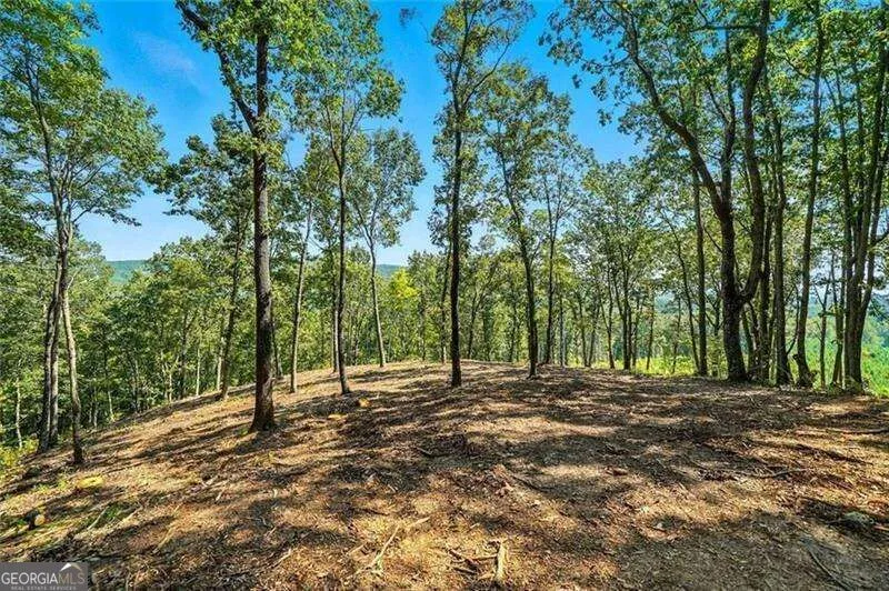 0 Debord DR Waleska, GA 30183