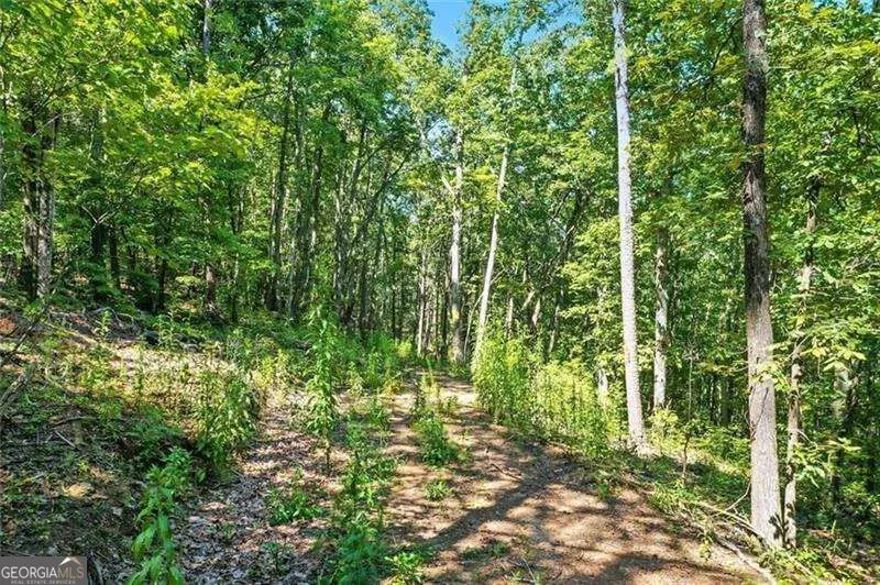 0 Debord DR Waleska, GA 30183