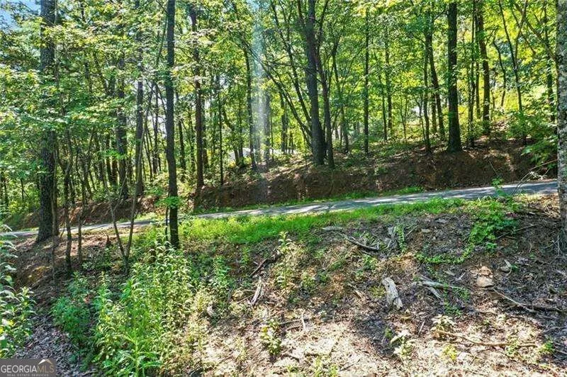 0 Debord DR Waleska, GA 30183