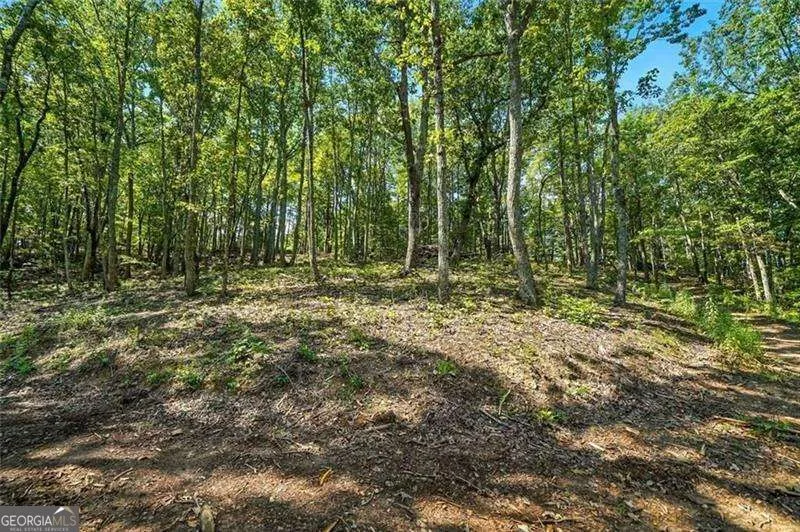 0 Debord DR Waleska, GA 30183