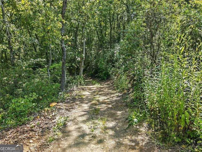 0 Debord DR Waleska, GA 30183
