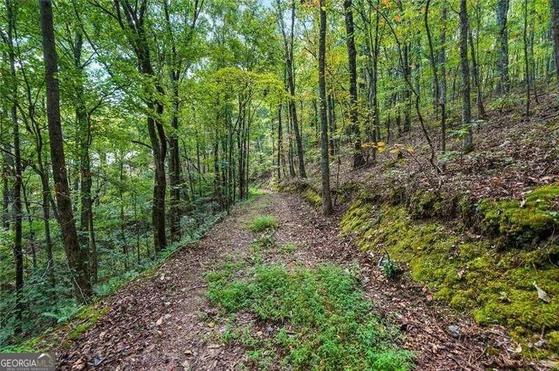 0 Debord DR Waleska, GA 30183