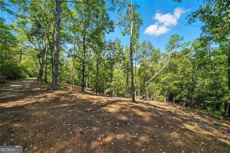 0 Debord DR Waleska, GA 30183