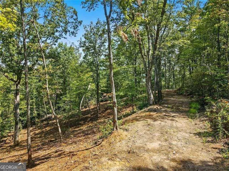 0 Debord DR Waleska, GA 30183