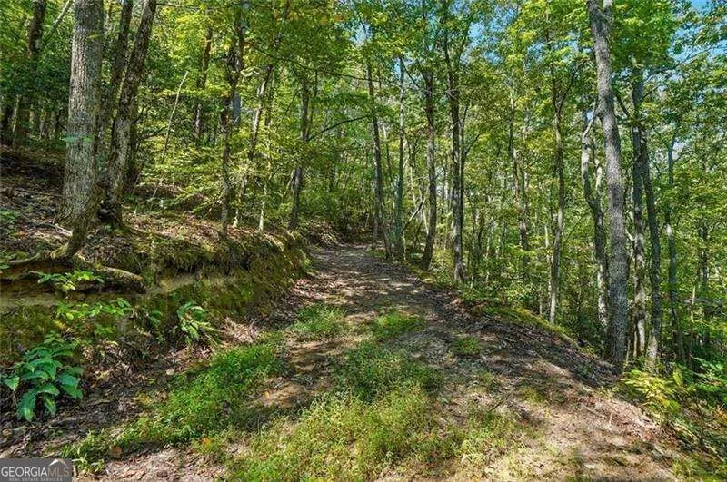 0 Debord DR Waleska, GA 30183