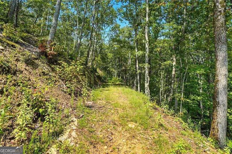 0 Debord DR Waleska, GA 30183