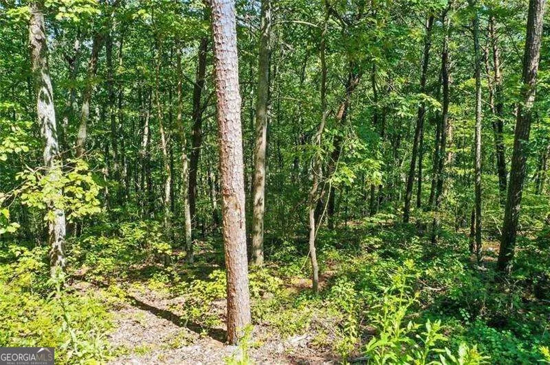 0 Debord DR Waleska, GA 30183