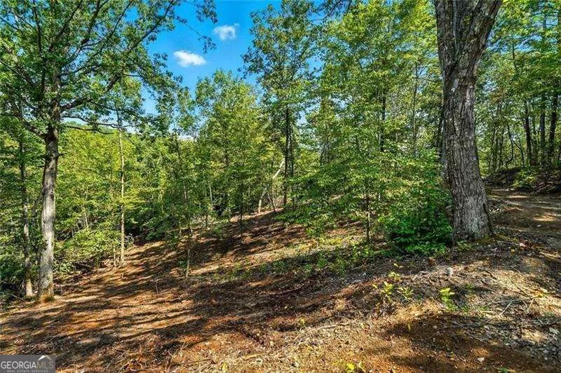 0 Debord DR Waleska, GA 30183