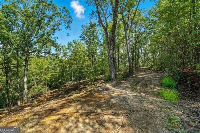 0 Debord DR Waleska, GA 30183