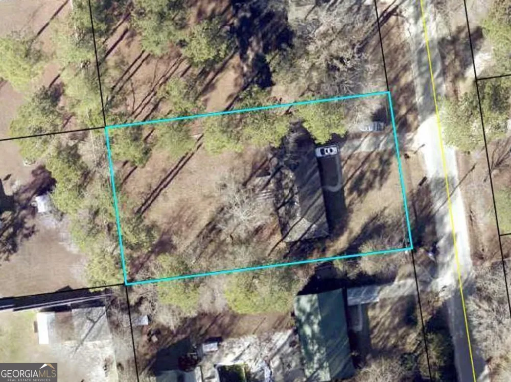 157 Ext N Jefferson ST Lyons, GA 30436