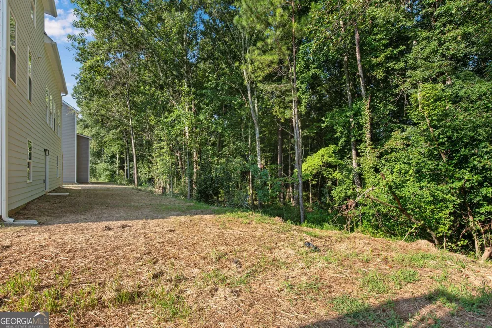 3402 Ashford LOOP Ellenwood, GA 30294