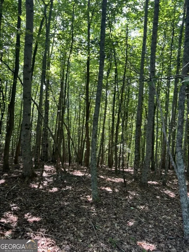 TRACT A Oak Ledge RD Morganton, GA 30560