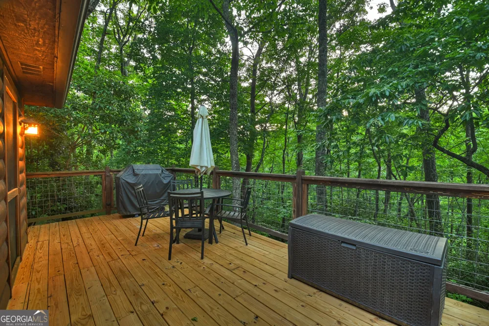 932 Granny BR Blue Ridge, GA 30513