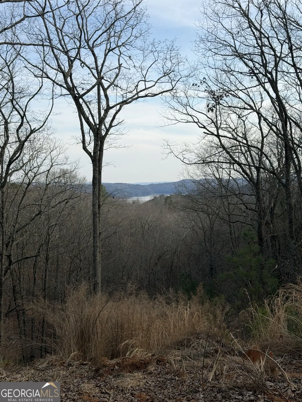 439 Buck Creek RD Ellijay, GA 30540