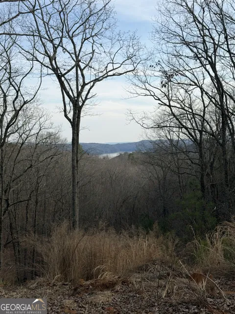 439 Buck Creek RD