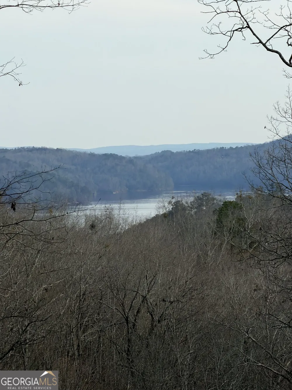 439 Buck Creek RD Ellijay, GA 30540