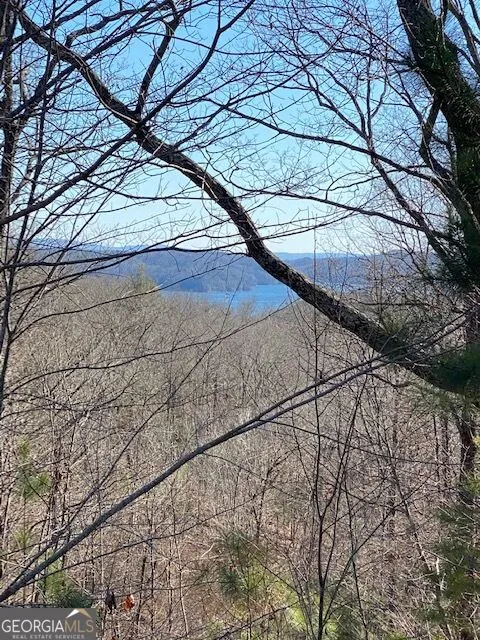 439 Buck Creek RD Ellijay, GA 30540