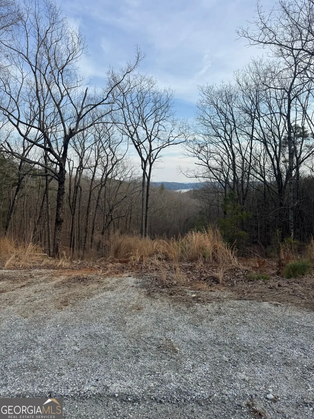 439 Buck Creek RD Ellijay, GA 30540