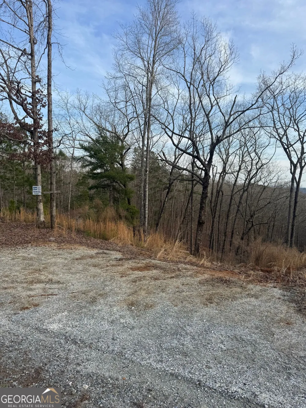 439 Buck Creek RD Ellijay, GA 30540