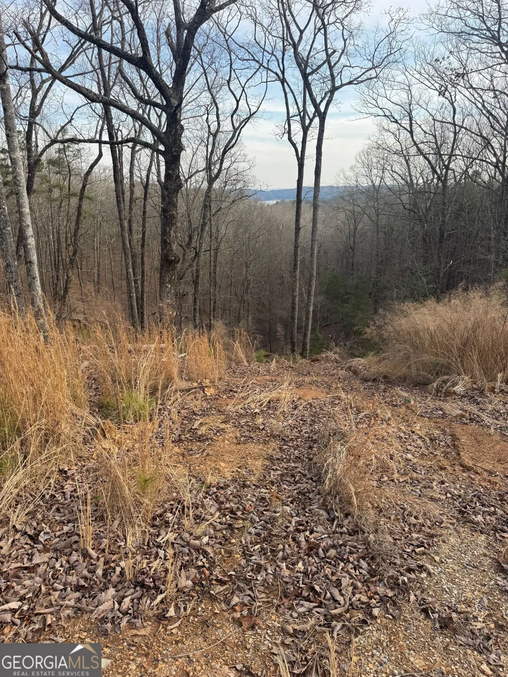 439 Buck Creek RD Ellijay, GA 30540
