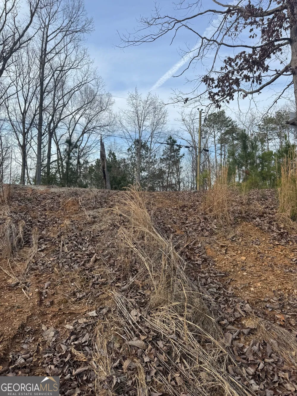 439 Buck Creek RD Ellijay, GA 30540