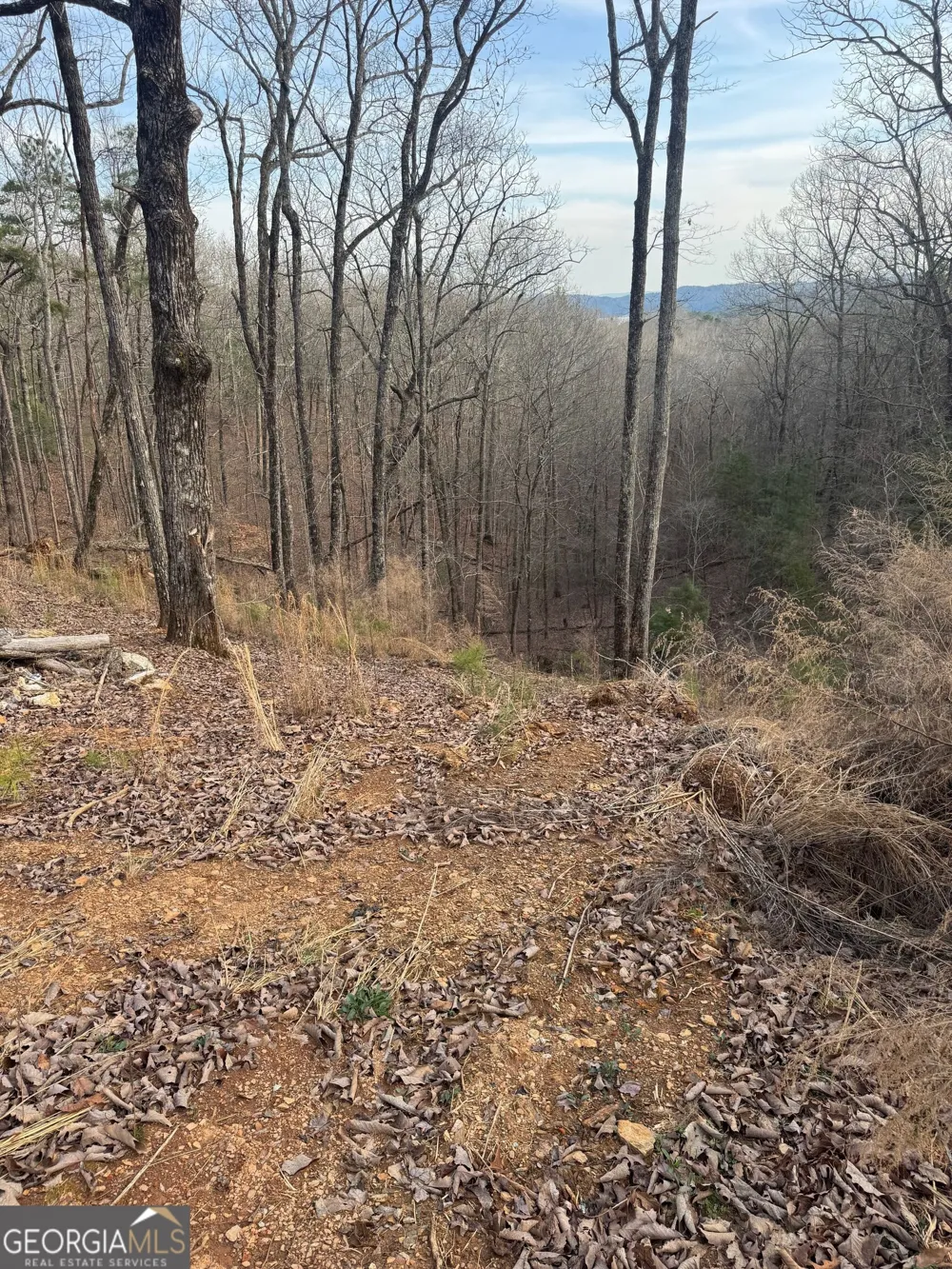 439 Buck Creek RD Ellijay, GA 30540
