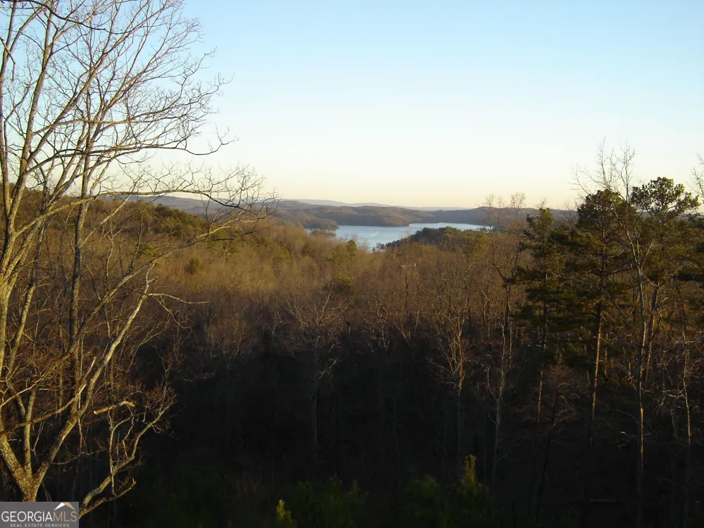 439 Buck Creek RD Ellijay, GA 30540
