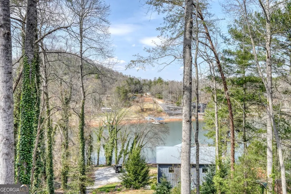 390 Bursey RD Hiawassee, GA 30546