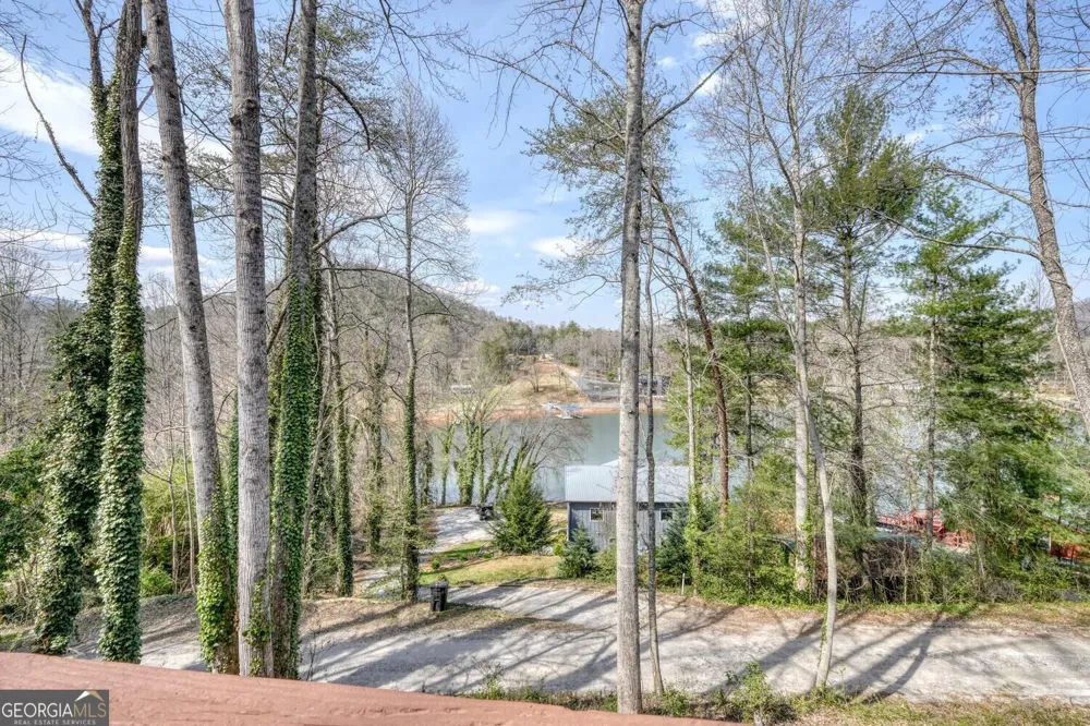 390 Bursey RD Hiawassee, GA 30546