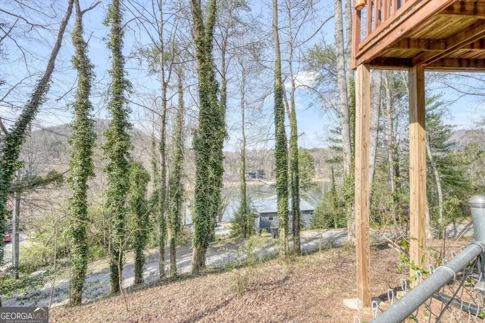 390 Bursey RD Hiawassee, GA 30546
