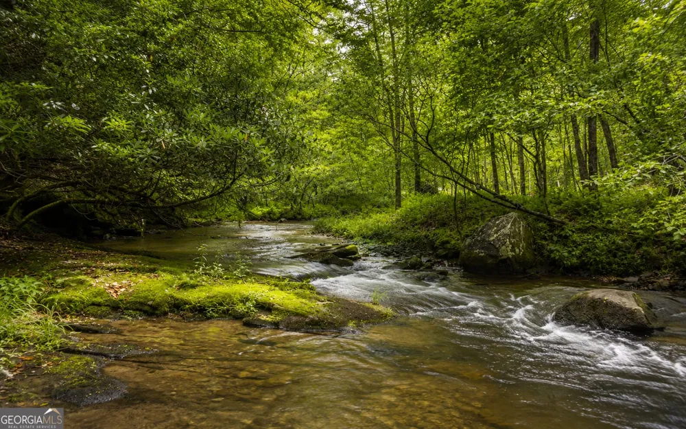 3149 Big Creek RD Cherry Log, GA 30522